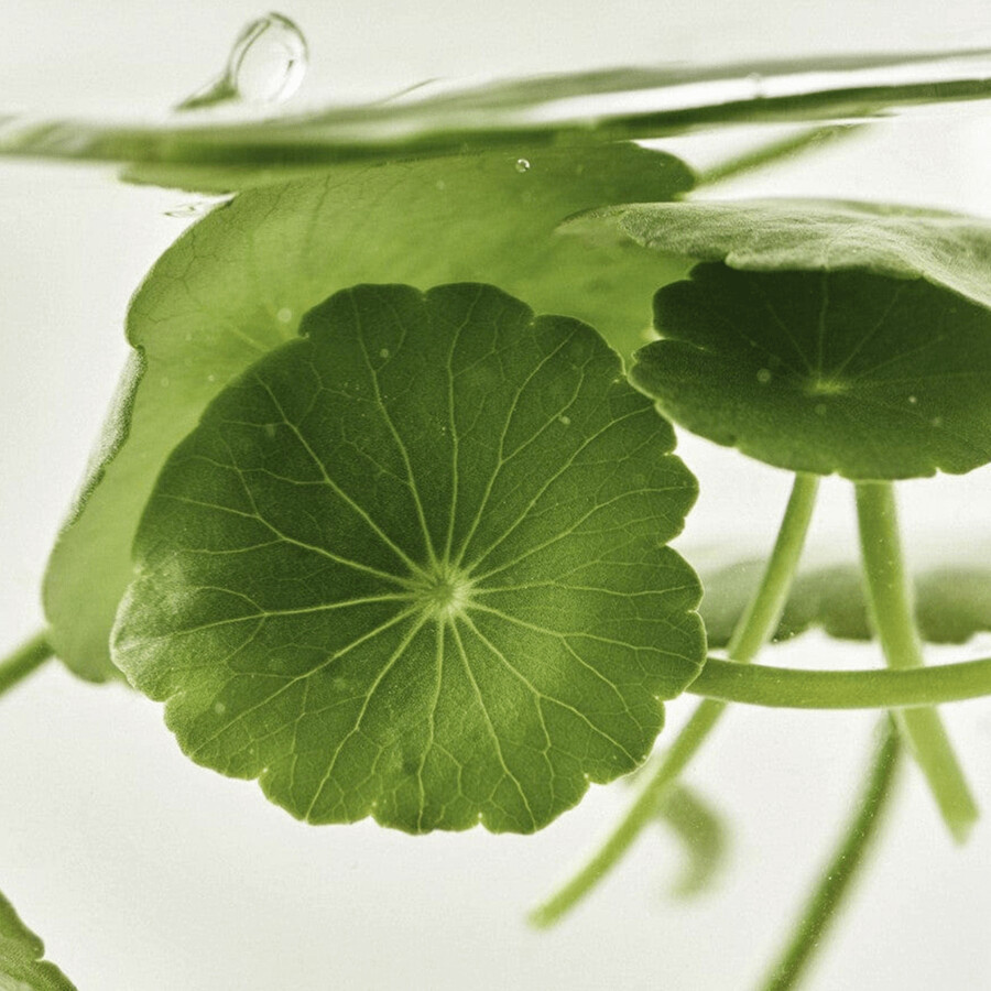 light on serum centella vita c